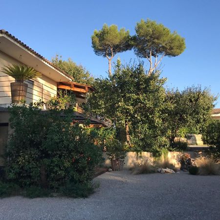 Villa L'Ensoleillee Roquefort Les Pins Exteriér fotografie