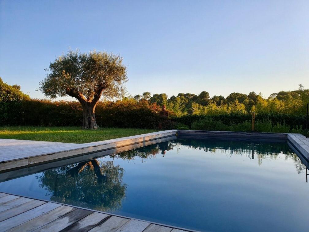 Villa L'Ensoleillee Roquefort Les Pins Exteriér fotografie
